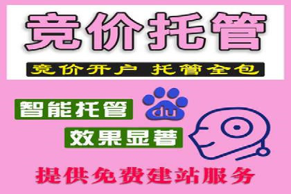 成功案例揭秘：百度SEO推广公司如何助力企业品牌建设